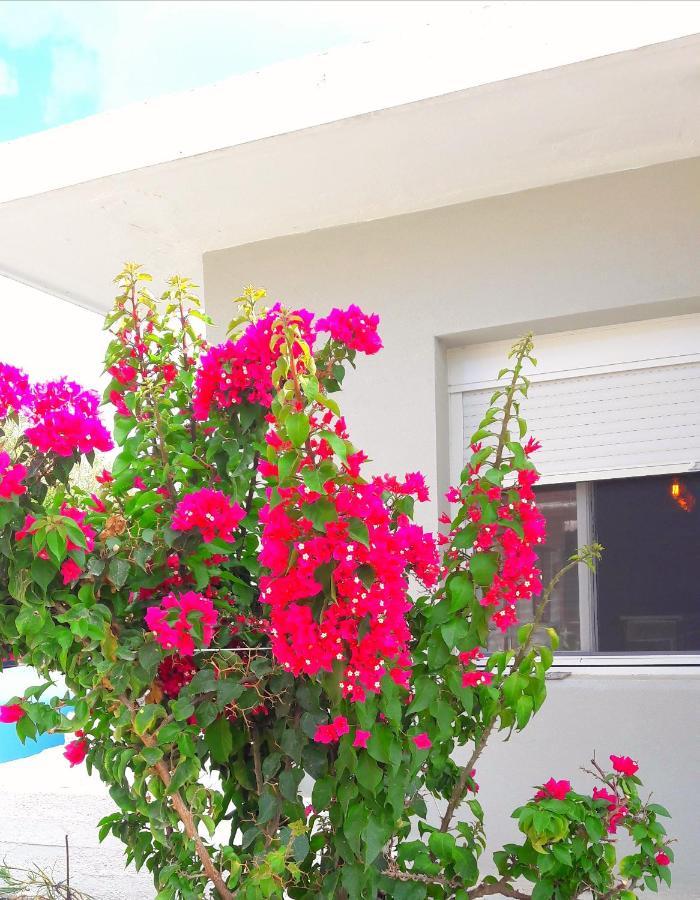 Casa Katina , Villa In Lagana, Agrilia Area 라가나스 외부 사진